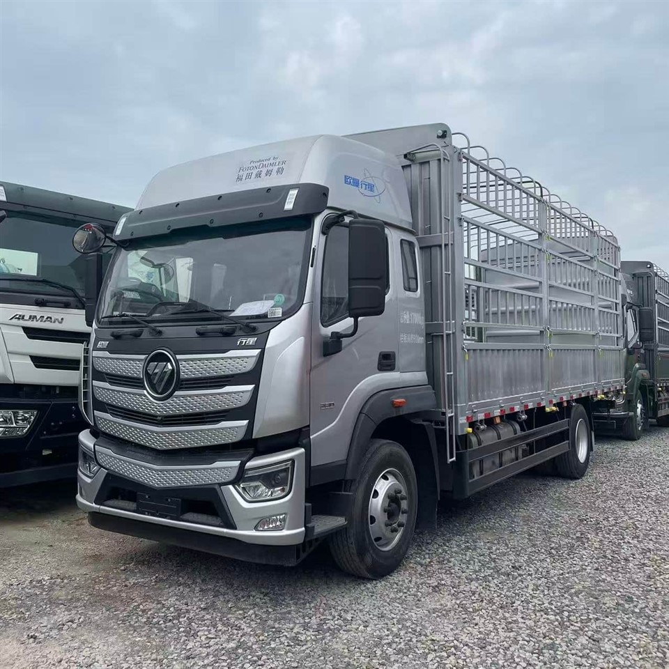 Foton Auman Cargo Truck price