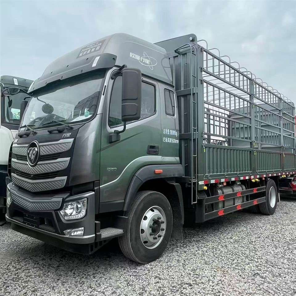 Foton Auman Cargo Truck factory