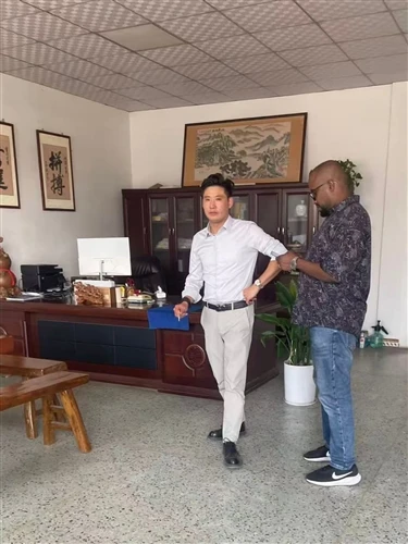 Sinotruk Truck Inspection By African Customer